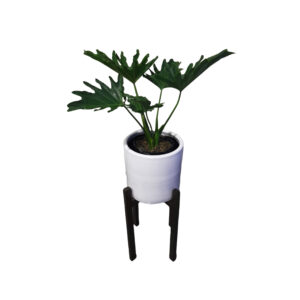 FILODENDRO SELLOUM EN MACETA Y PEDESTAL DE MADERA MARRON