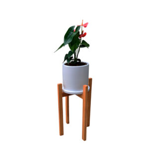 ANTURIO ROJO EN MACETA Y PEDESTAL DE MADERA
