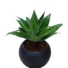 AGAVE EN MACETA ESFERA NEGRO DE ARCILLA
